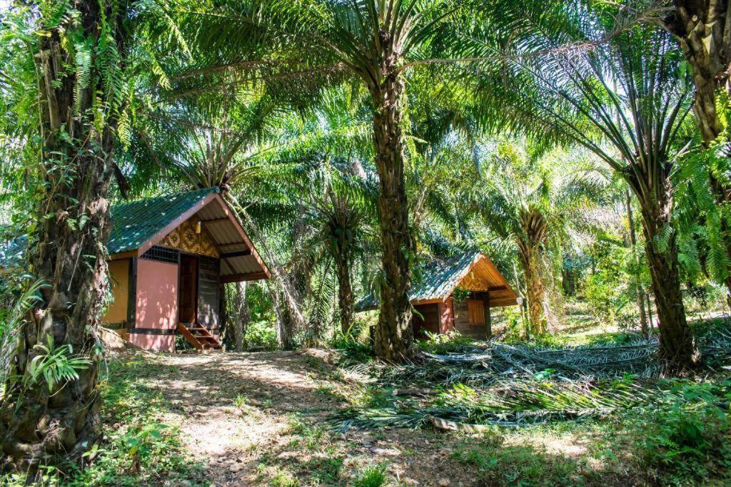 Khao Sok Silver Cliff Resort Khao Sok National Park Zewnętrze zdjęcie