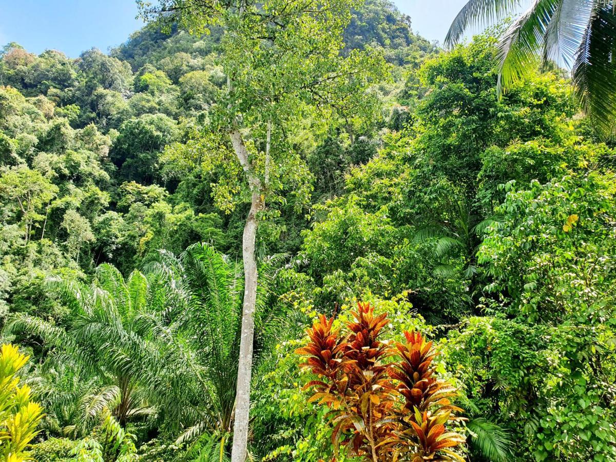 Khao Sok Silver Cliff Resort Khao Sok National Park Pokój zdjęcie