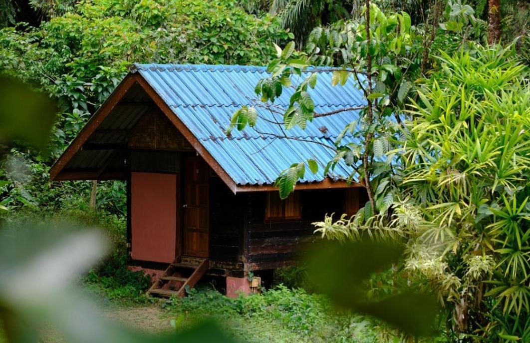 Khao Sok Silver Cliff Resort Khao Sok National Park Zewnętrze zdjęcie
