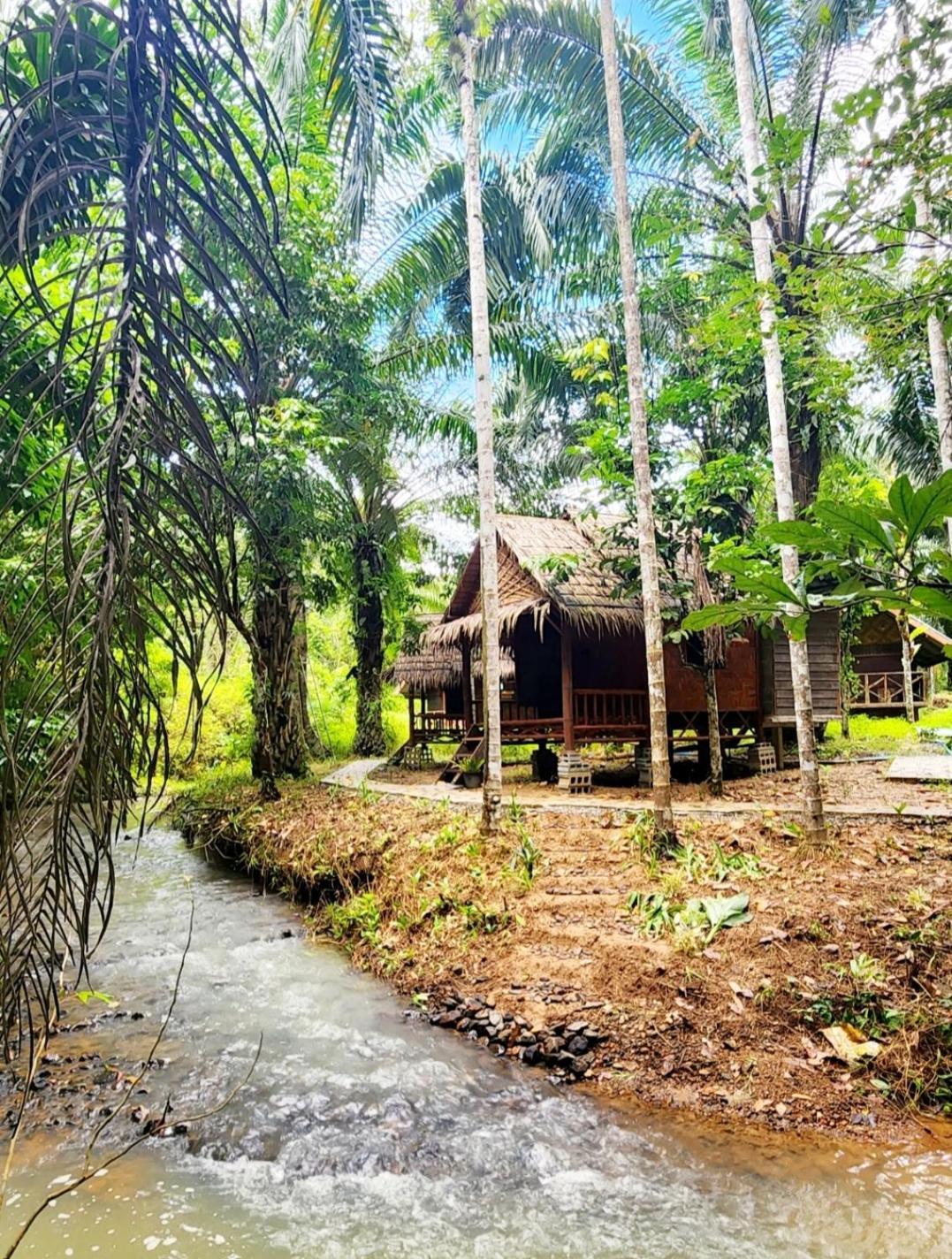 Khao Sok Silver Cliff Resort Khao Sok National Park Pokój zdjęcie