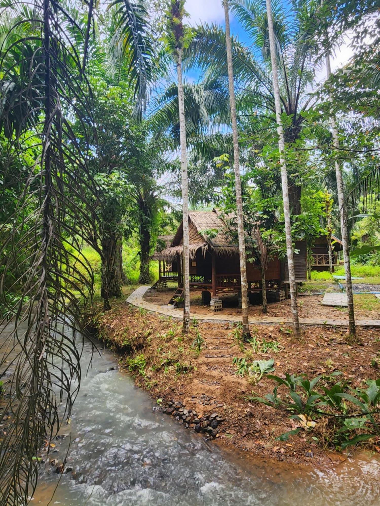 Khao Sok Silver Cliff Resort Khao Sok National Park Pokój zdjęcie