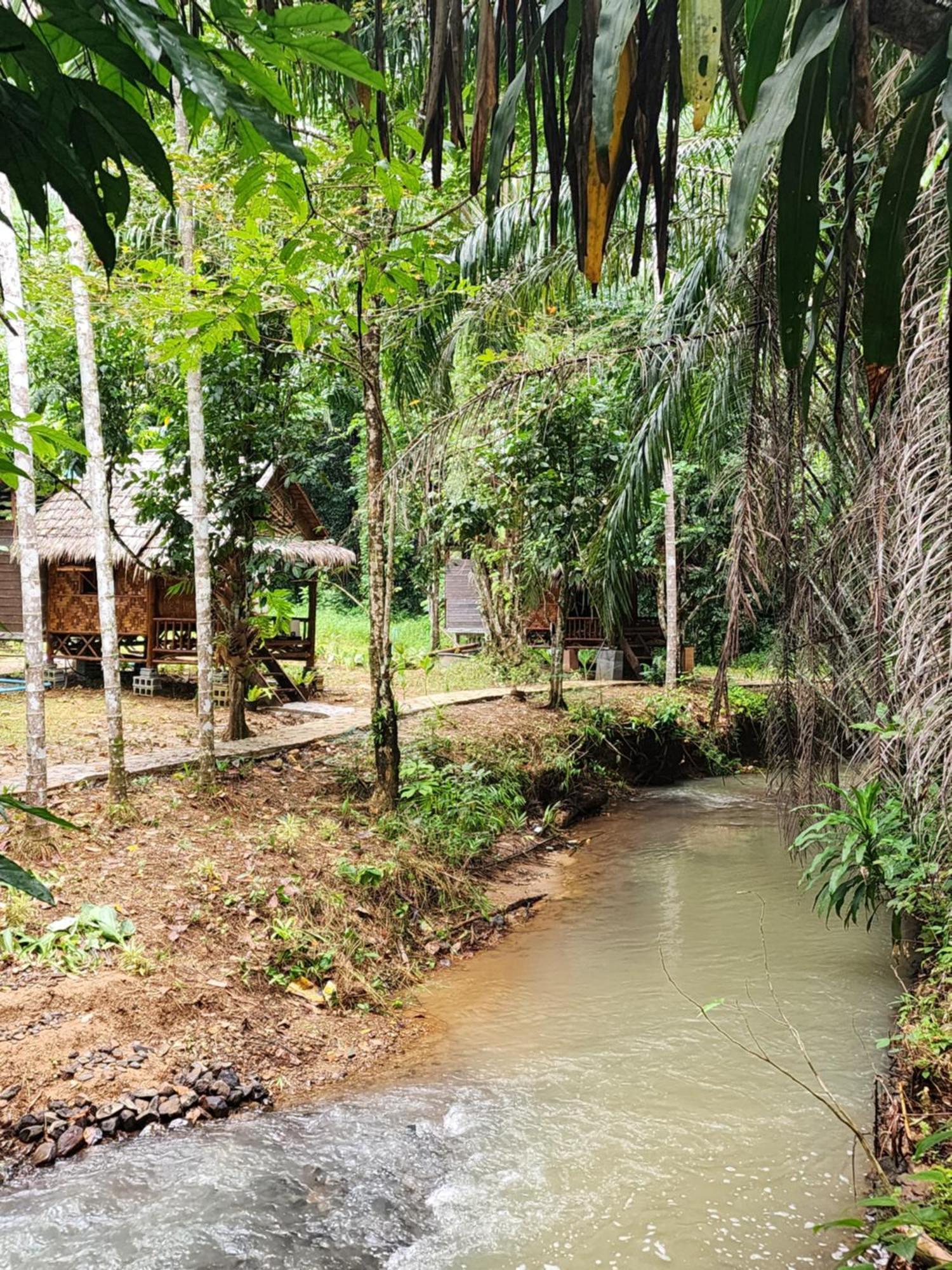 Khao Sok Silver Cliff Resort Khao Sok National Park Pokój zdjęcie